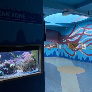 Bristol Zoo Bug World