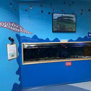 Bristol Zoo Bug World