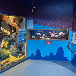 Bristol Zoo Bug World