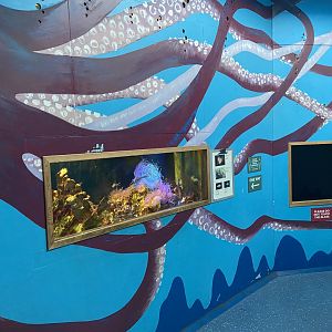 Bristol Zoo Bug World