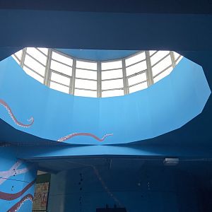 Bristol Zoo Bug World