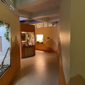 Bristol Zoo Bug World