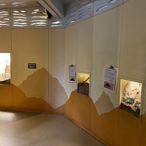 Bristol Zoo Bug World