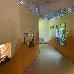 Bristol Zoo Bug World