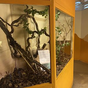 Bristol Zoo Bug World