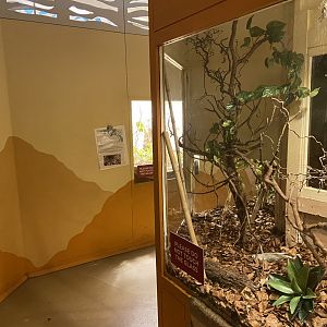 Bristol Zoo Bug World