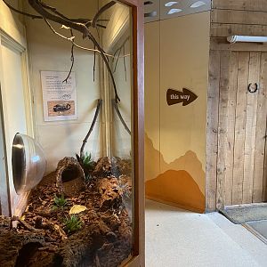 Bristol Zoo Bug World