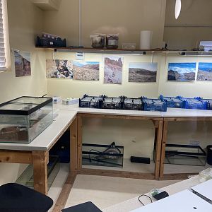 Bristol Zoo Bug World