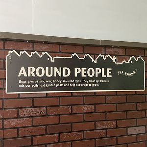 Bristol Zoo Bug World