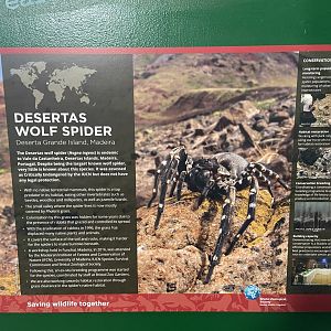 Bristol Zoo Bug World