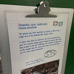 Bristol Zoo Bug World