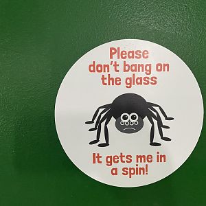 Bristol Zoo Bug World