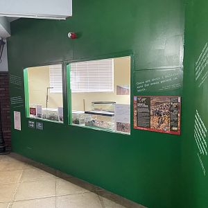 Bristol Zoo Bug World