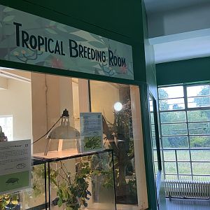 Bristol Zoo Bug World