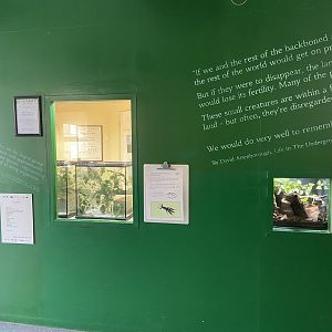 Bristol Zoo Bug World