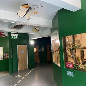 Bristol Zoo Bug World