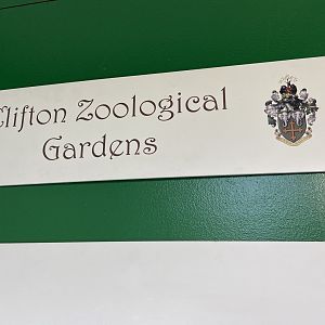 Bristol Zoo history display in Bug World