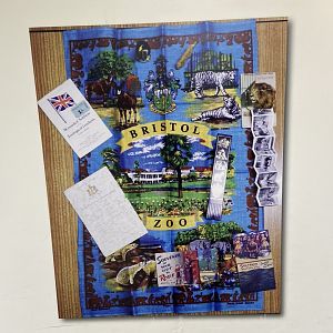 Bristol Zoo history display in Bug World