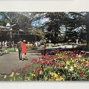 Bristol Zoo history display in Bug World