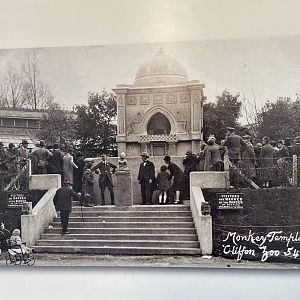 Bristol Zoo history display in Bug World