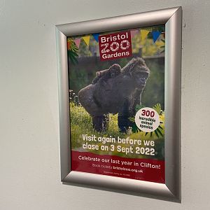 Bristol Zoo