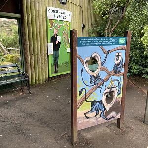 Bristol Zoo Monkey Jungle