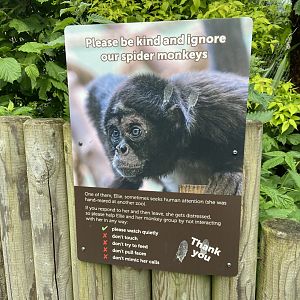 Bristol Zoo Monkey Jungle