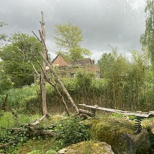 Bristol Zoo Monkey Jungle