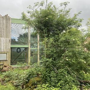 Bristol Zoo Monkey Jungle