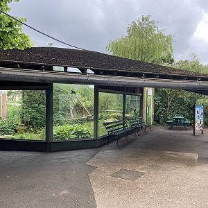 Bristol Zoo Monkey Jungle