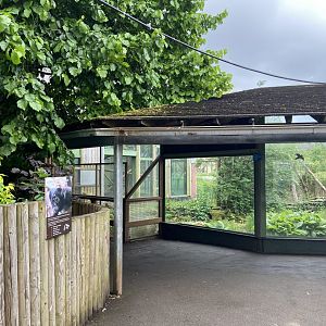 Bristol Zoo Monkey Jungle