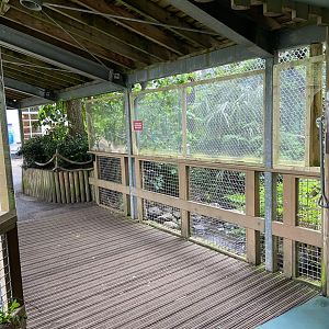 Bristol Zoo Monkey Jungle