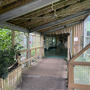 Bristol Zoo Monkey Jungle