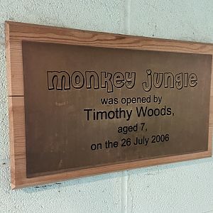 Bristol Zoo Monkey Jungle