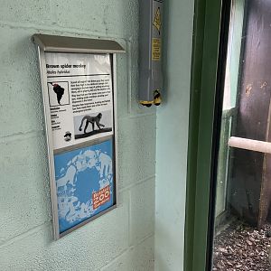 Bristol Zoo Monkey Jungle