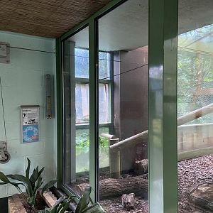 Bristol Zoo Monkey Jungle