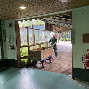 Bristol Zoo Monkey Jungle