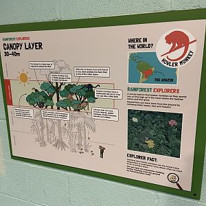 Bristol Zoo Monkey Jungle