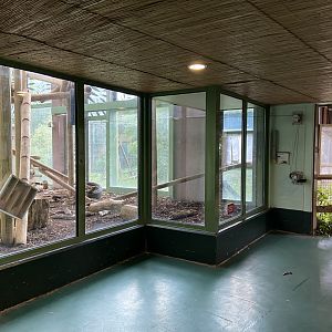 Bristol Zoo Monkey Jungle