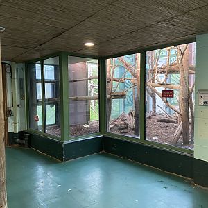 Bristol Zoo Monkey Jungle