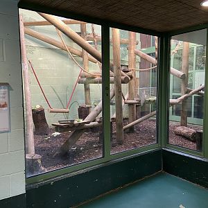 Bristol Zoo Monkey Jungle