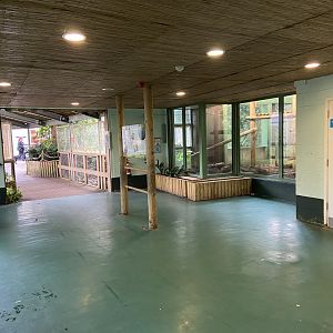 Bristol Zoo Monkey Jungle