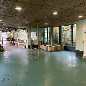 Bristol Zoo Monkey Jungle