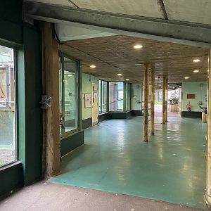 Bristol Zoo Monkey Jungle