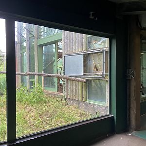 Bristol Zoo Monkey Jungle