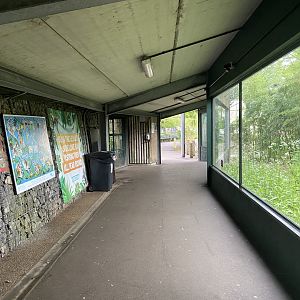 Bristol Zoo Monkey Jungle