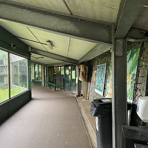 Bristol Zoo Monkey Jungle