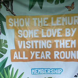 Bristol Zoo Monkey Jungle