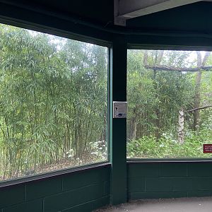 Bristol Zoo Monkey Jungle