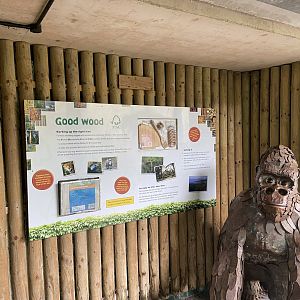 Bristol Zoo Monkey Jungle